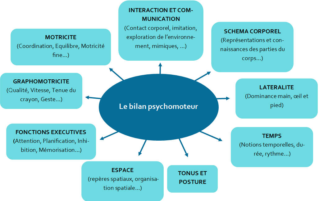 Schéma des différentes fonctions psychomotrices
